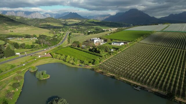 Road leads between vineyards toward Stellenbosch town and mountains, jib up