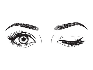 Fototapeta premium Hand drawn open and closed female eyes set. Vector illustration