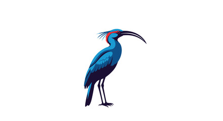 Obraz premium Elegant blue ibis bird with a long curved beak and red feathers detail isolated on a white background.