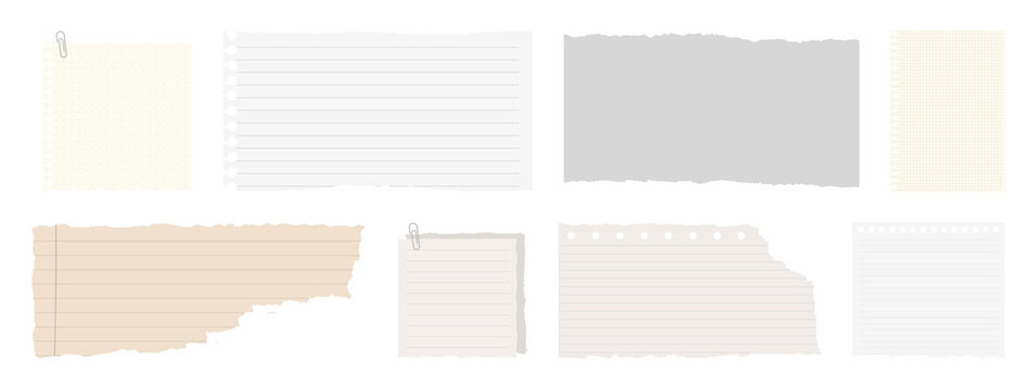 PNG Assorted torn notebook papers collection on transparent background