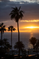 Fototapeta premium Sunset view on ocean, silhouettes of palm trees, swimming pool in Costa Adeje, Tenerife, Spain