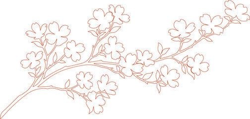 Minimalist cherry blossom branch vector, elegant pink line art floral illustration, blooming sakura tree twig for wedding stationery and greeting cards isolated on White Background © noor