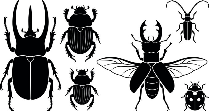 Beetle Silhouette Vector Collection Featuring Rhinoceros Stag Longhorn and Ladybug Insects for Entomology Education and Nature Logo Designs