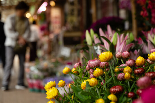 Yellow strawflowers, pink everlastings and lily buds in the foreground of a florist stall at the Flower Market in Prince Edward, Hong Kong, with a blurred shopper and stalls in the background