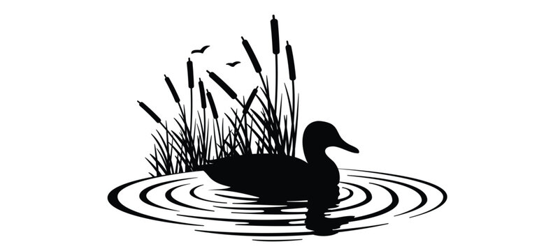A stylized black duck floating peacefully, surrounded by soft, oval ripples in the water. Waterbirds, wild duck swims in the water. cartoon lisdodde or typha latifolia It is an aquatic plant.