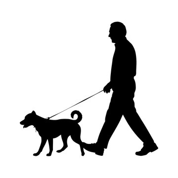 Man walks his loyal dog on a leash across a stark and minimalist white background surface area.