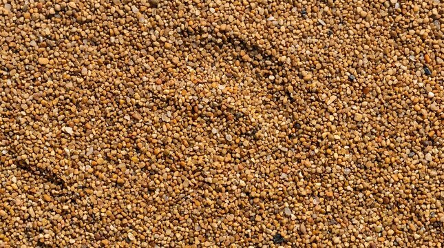 Macro shot of coarse sand and small pebbles texture background