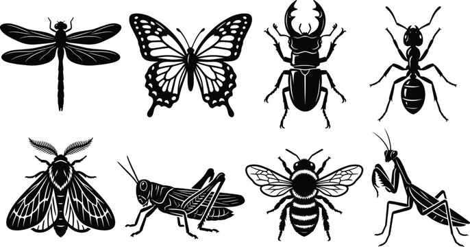 Collection of detailed insect silhouettes including butterfly dragonfly bee ant and mantis illustrations isolated on white background