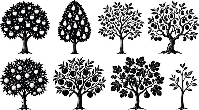 Collection of fruit tree silhouettes including apple pear cherry peach and orange in detailed monochrome woodcut style isolated on white