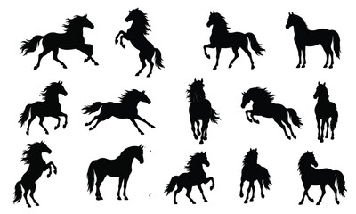 Fototapeta premium Horse silhouette set featuring wild stallions running rearing jumping and standing in various action poses isolated on white background for vector graphic design