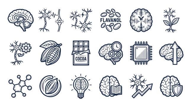 Memory Support Icon Set with Brain Anatomy and Cocoa Nutrition Science Symbols
