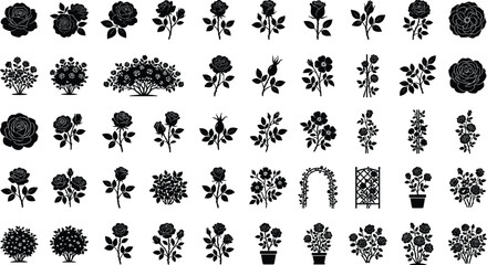 Fototapeta premium Various rose bushes and flowers isolated on white background for design elements