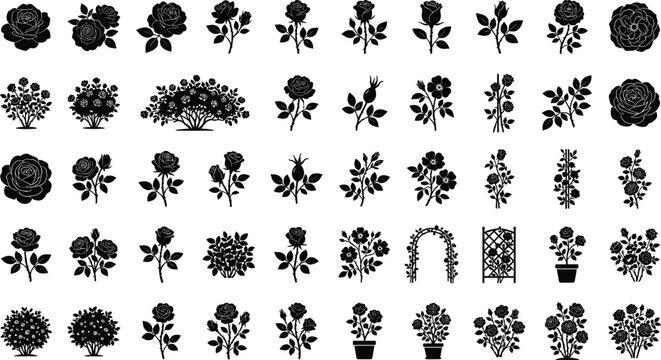 Various rose bushes and flowers isolated on white background for design elements