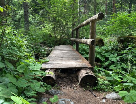 old wooden bridge, wooden bridge in the forest 
