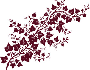Elegant burgundy ivy vine vector, climbing plant illustration, decorative botanical foliage element, natural organic design resource isolated on White Background © Ambreen