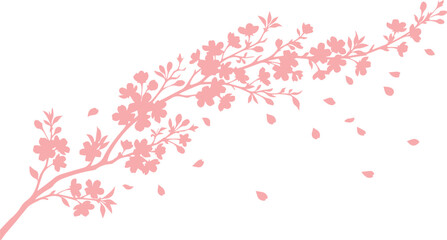 Fototapeta premium Delicate pink cherry blossom branch vector, elegant sakura floral illustration, blooming spring flower design element, Asian nature graphic resource for wedding invitations and branding isolated