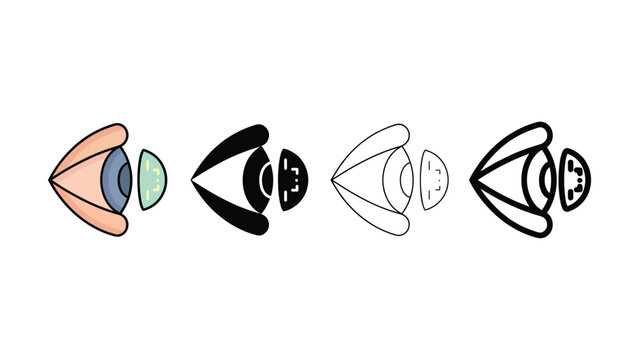 Four different types of human eye anatomy illustrations in various styles and colors side by side