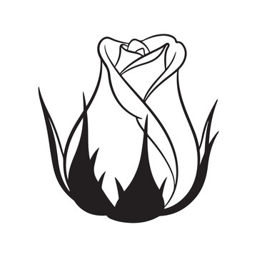 Rosebud line art vector illustration with black outlines and sepals for floral design and botanical decoration