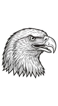 Close up detailed illustration of a hawks head profile.