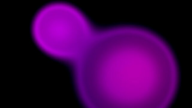 Purple Magenta Black Silk Gradient Motion Background, Smooth Flowing Liquid Silk Animation Seamless Loop, 4K