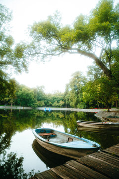 Quiet boats on the shore of a lake surrounded by trees