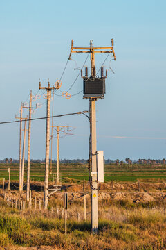 Power transformer and utility poles supplying electricity across rural farmland