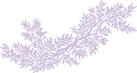 Obraz premium Delicate purple fern branch vector, intricate botanical illustration, elegant floral design element, natural organic decorative graphic asset isolated on White Background