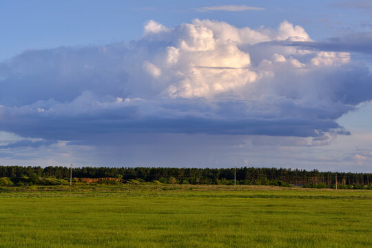 Massive rain clouds looming over green agricultural field and distant pine forest line at dusk.