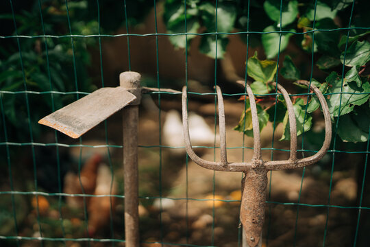 Rustic Gardening Tools Hanging on Farm Fence
