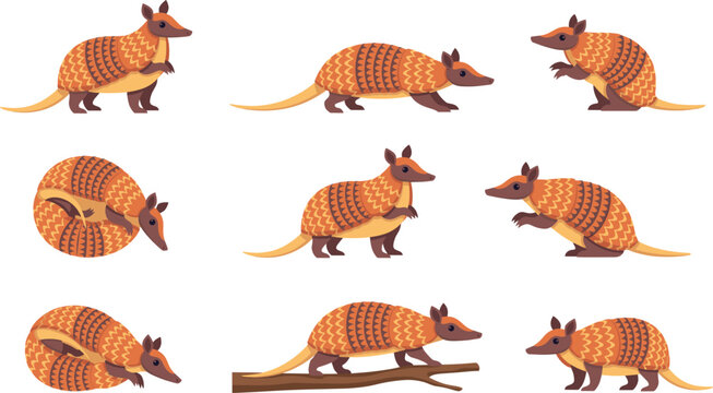 Cute armadillo character poses set with nine-banded exotic mammals walking standing sitting curled into a ball and sniffing wood for wildlife design vector illustration