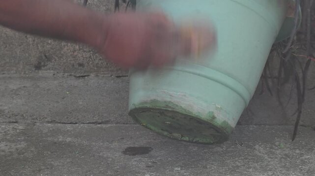 A person is cleaning a green plastic flowerpot by hand using a coconut coir brush. In which a green plant is planted. One hand holds the edge of the pot while the other scrubs the damaged surface.