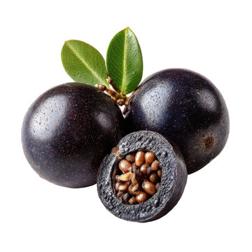 Jaboticaba fruits with leaves on a branch during daylight with shallow depth of field for food concept