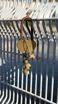 Love lock hangs on fence with flowers in daylight