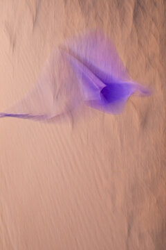 Abstract still life on a deserted beach