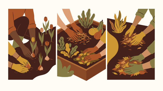 Hands planting and gardening, tilling soil with autumn leaves and seeds in a garden bed