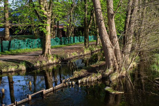 Stream in a city park