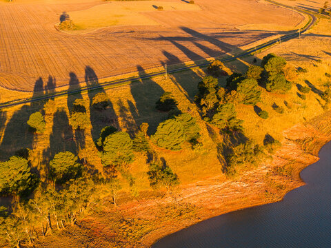 Trees casting long shadows over a reservoir shoreline in golden light