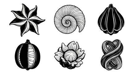 Black and white illustrations of nature elements