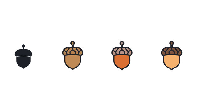 Four acorns with different colored caps and bodies on white background