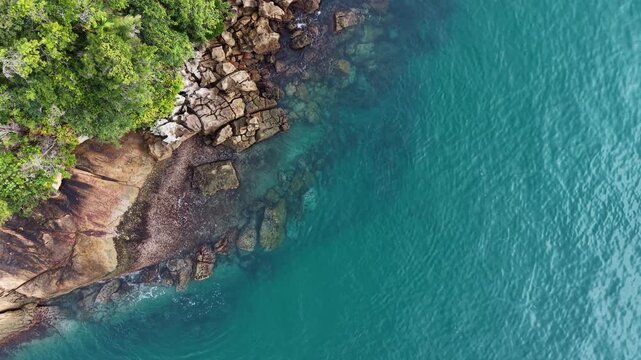 Aerial View of Pouso da Caja&iacute;ba Beach and Atlantic Forest, Brazil | Vista A&eacute;rea da Praia do Pouso da Caja&iacute;ba e Mata Atl&acirc;ntica, Brasil