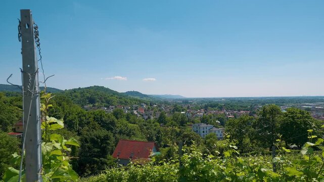 Blick vom Weinberg Kirchberg auf die Stadt Bensheim an der Bergstra&szlig;e mit Stadtkirche Sankt Georg  im Sommer 