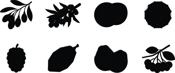 Superfood and antioxidant berry silhouette icon vector bundle set isolated on white background for organic food branding © bri