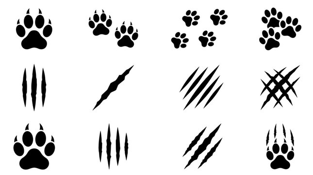 black animal paw prints and claw marks on white background