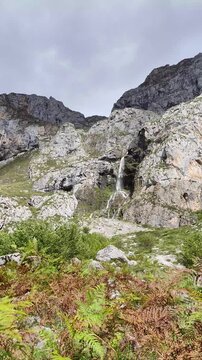 Idyllic scene among ferns at the Deva River waterfall in Espinama, Cantabria.