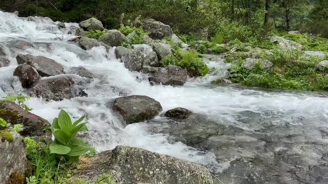Mountain river in Morskie Oko Tarta national park Zakopane Poland
