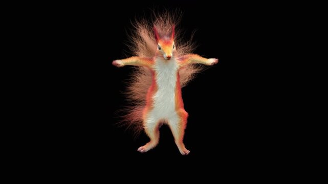 Realistic dancing squirrel performing rumba dance animation with alpha channel transparent background