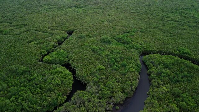High-angle view captures a river meandering through vibrant green landscape. Ideal for environmental projects