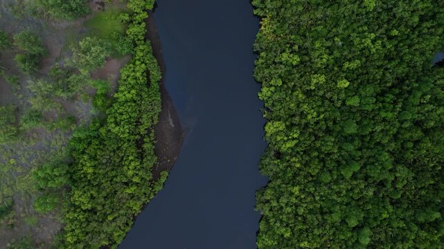 High angle perspective shows river meandering through lush green forest. Ideal for environmental projects