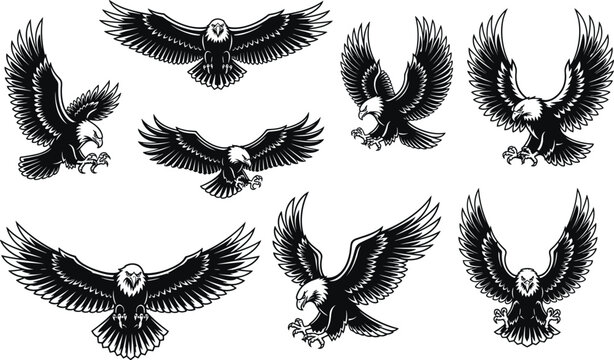 Majestic bald eagle vector collection featuring aggressive flying poses and swooping birds of prey with open talons