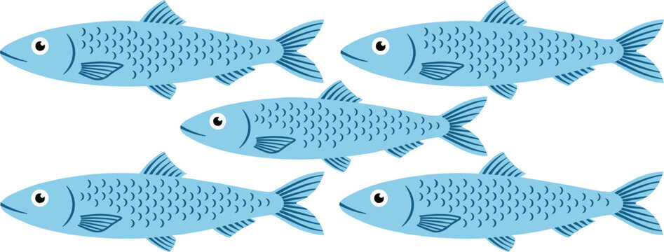 Sardine fish school cartoon vector illustration set with fresh blue herrings anchovies seafood elements isolated on white background for market packaging design